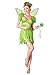 Fun World Women's Standard Sm/med Adlt Neverland Fairy, Multi, Small/Medium