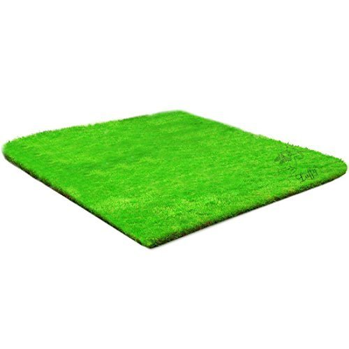 Luffy Moss, Lush Green Landscape in Aquarium, Natural Habitat for Aqua Pets, Create a Moss Carpet or Moss Wall, Thrive with Minimal Care