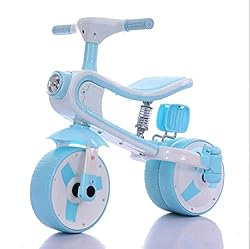NTS Indoor and Outdoor Use Bicycle Children's Mini