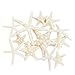 Tumbler Home Pencil and Knobby Starfish 2