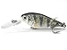 6 Hard Baits Fishing Lures in One Tackle Box Deep Water Crankbait RealSkin Painting For Bass Fishing HC549KB