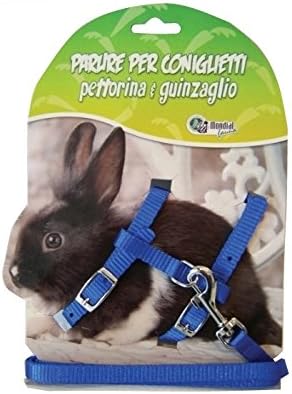 Strano Europa Ricevente Collare Per Conigli Amazon Cactusflowercommunications Com