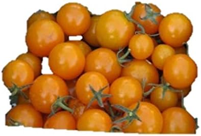 Amazon 超甘い サンシュガー ミニトマト 種 18粒 野菜