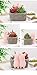 Youfui Pig Decor Pot Cute Piggy Succulent Planter Home Desk Office Fairy Garden Decoration Pig Gifts Ideal Gifts for Women, Mom or Birthday Christmas Pig Lovers Gift