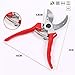 UPZHIJI Pruning Shears, Professional Tree Trimmers Secateurs,Hand Pruner, Garden Shears,Clippers for The Garden.thumb 2