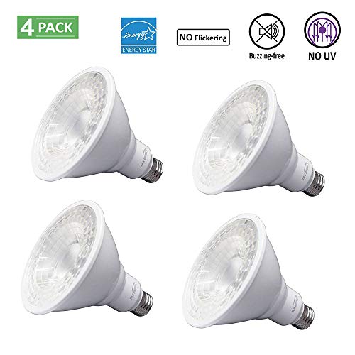Par38 LED, Tanbridge High Power Lamp Beads, Indor and Outdoor Par38 LED Flood Light, 18W (180W Equivalent), E26 Base, 5000K Daylight, 60Â° Beam Degrees, Energy Star (4 Pack)