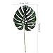 HUAESIN Palm Leaves 2pcs Artificial Fuax Palm Leaves Decorations with Stems Monstera Leaves Tropical Plant for Birthday Jungle Beach Party Wedding Hawaiian Green