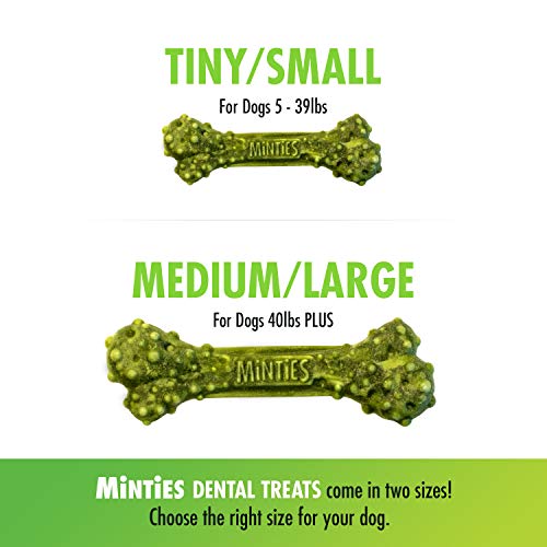 VetIQ Minties Dog Dental Bone Treats, Dental Chews for Dogs, (Perfect
