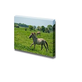 Canvas Prints Wall Art - Wild Horse Running in a Sunny Meadow/Grassland | Modern Wall Decor/Home Art Stretched Gallery Wraps Giclee Print & Wood Framed. Ready to Hang - 12" x 18"