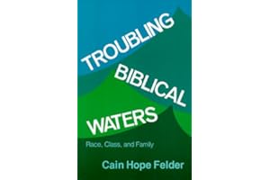 Troubling Biblical Waters (Bishop Henry Mcneal Turner Studies in North American Black Religion, 3)
