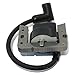 FitBest New Ignition Coil/Solid State Module for Tecumseh 34443A 34443B 34443C 34443D