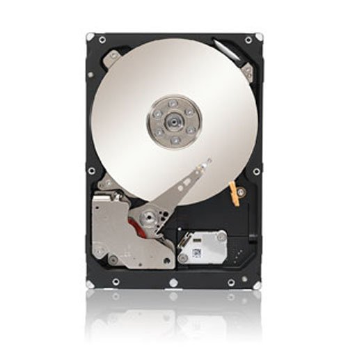 Seagate 4TB Enterprise Capacity HDD 7200RPM SATA 6Gbps 128 MB CacheÂ Internal Bare Drive (ST4000NM0033)
