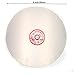 Rannb 3000 Grit 8-inch Outside Dia Diamond Coated Flat Lap Wheel Grinding Sanding Polishing Disc for Jewelry, Glass & Rock