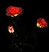Solaration™ Solar Pink Rose Flower Lights Outdoor Decorative Lights Year-round, Great Gift!