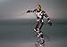 S.H.Figuarts Masked Rider Faiz Action Figure