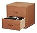 Foremost 327422 Modular 2-Drawer Cube Storage System, Honey