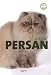 CHAT PERSAN (CHATS) by 