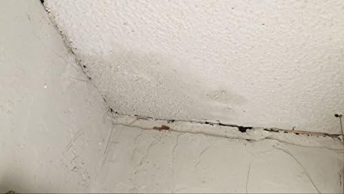 Popcorn Ceiling Texture Repair Sponge Amazon Com