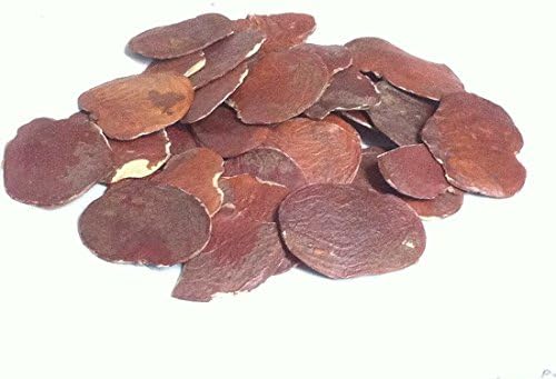 Ayurvedic Herbal100g PALASH SEEDS Butea Monosperma Forest Flame WHOLE Free Ship