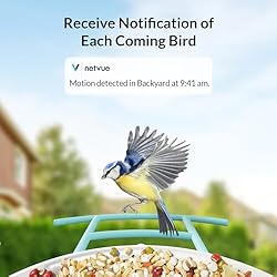 NETVUE Birdfy Lite - Smart Bird Feeder with Camera