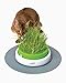Catit Senses 2.0 Grass Planter 2-Packthumb 4