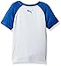 PUMA Big Boys' Athletic Tee Shirts, Fog Grey, X-Large (18/20)