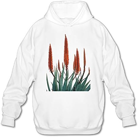 Cactus Green Bristlegrass Wheat Men's Fashion Hooded Sweatshirt Swag Pullover Hoodies For Boys