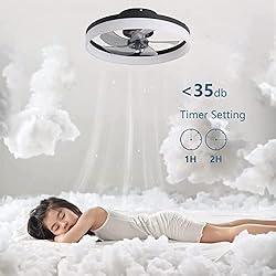 19.6" Ceiling Fans With Lights, Semi-enclosed Flush