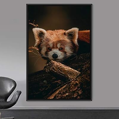signwin Framed Canvas Wall Art Red Panda Animals...