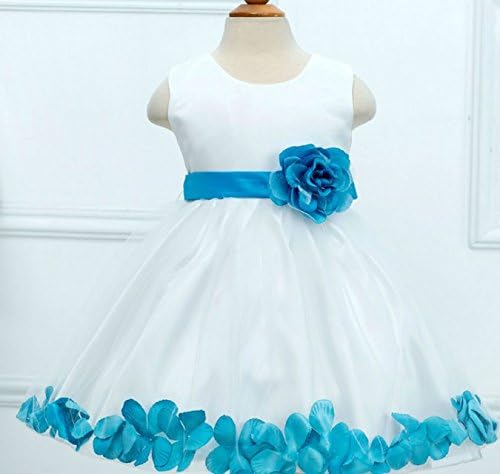 Amazon 子供ドレス 女の子 キッズフォーマルドレス 子どもドレス お姫様柄プリントのオーガンジープリンセスドレス 結婚式 発表会 七五三 こどもドレス 子供服 ワンピース 100cm 水色 L104 ワンピース チュニック 通販