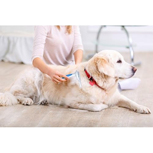 Cheap Short Hair Dog Brush For Shedding And Comb From Smooshy