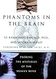 Phantoms in the Brain