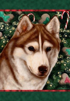 best treats for huskies