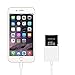 KimKey 2 IN 1 Micro USB and Lightning Connector Camera SD Card Reader for iPhone iPad and Android Phone Tablet