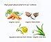 Bronzo Sensuale SPF 50 Sport Sunscreen Carrot Lotion 8.5 Ounces