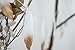 Piokio 6FT Feather Garland Gold Dipped Feather Banner Nursery Teepee Garland, Halloween Christmas Students Dormitory Home Wall Decor