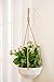 Mkono 2 Pack Wall Hook Hanging Plant Bracket Decorative Straight Plant Hanger for Bird Feeders, Planters, Lanterns, Wind Chimes Indoor Outdoor, White,6 inchthumb 1