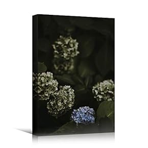 signwin Canvas Wall Art Assorted Fields Bohemian Colorful...