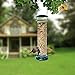V2 Tube Bird Feeder for Outside, Weather Proof, Hanging, Easy to Setup, Durable, Tube Bird Feeder for Outdoors, Wild Bird Feeder for Outdoors and for Backyard Decoration, July 4th Gift