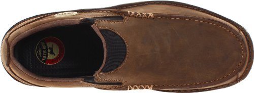 irish setter borderland
