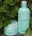 Clay Esthe Shampoo From Molto Bene 11oz.