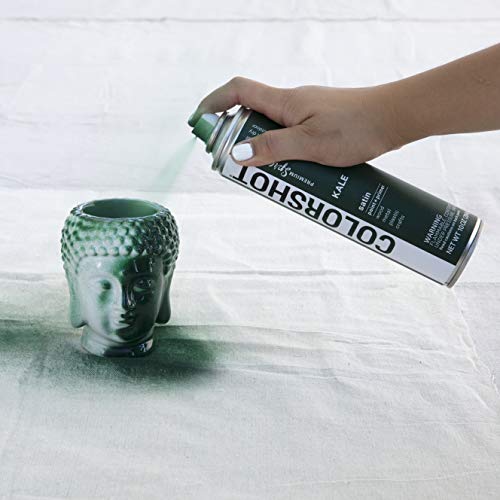 COLORSHOT Kale Spray Paint, Dark Green - Thumbnail 2