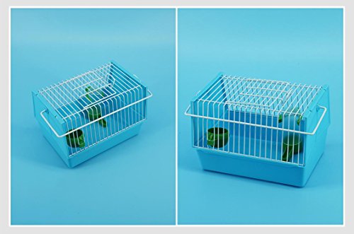 5 NAKIQ+Simple+Middle+Carrier+Hamster