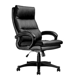 LANGRIA Poltrona da Ufficio Ergonomica (Nero)