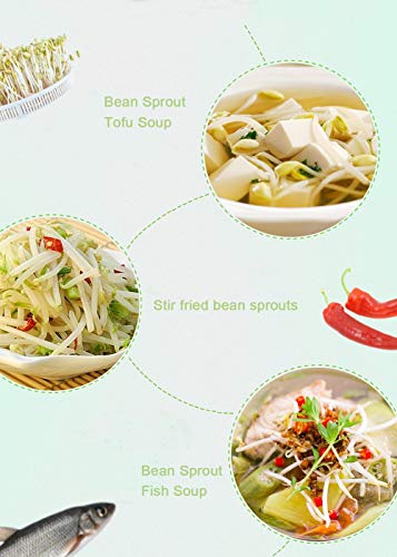 WG Digital Home DIY Bean Sprouts Maker 2 Layer Automatic Electric Germinator Seed Vegetable Seedling Growth Bucket