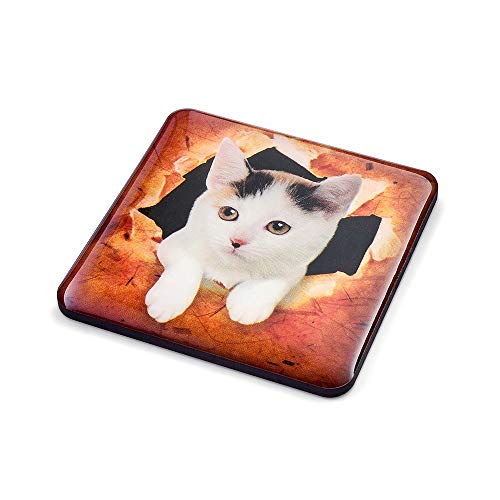 SUPCOOKI 6pcs Beautiful Glass Refrigerator Magnets 3D Cat Magnets Fun Funny Fridge Stickers Cute Home Decoration Funny for Office Cabinets Whiteboards Decorative Photo Abstract