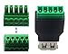 CGTime USB 2.0 A Screw Terminal Block Connector USB 2.0 A Female Plug to 5 Pin/Way Female Bolt Screw Shield terminals Pluggable Type Adapter Connector Converter 300V 8A(2Pack) (Female)