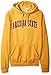NCAA Men's Sanded Fleece Pullover Hoodie