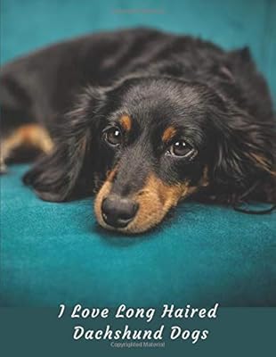 I Love Long Haired Dachshund Dogs 2019 Weekly Planner Large Size