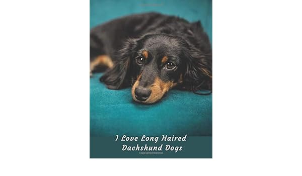 I Love Long Haired Dachshund Dogs 2019 Weekly Planner Large Size